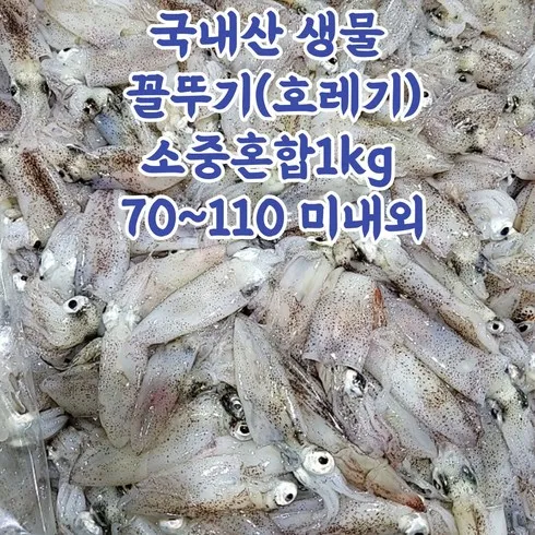 호래기회