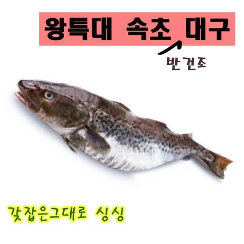 대구케이터링