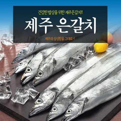 제주 은갈치 150g30미