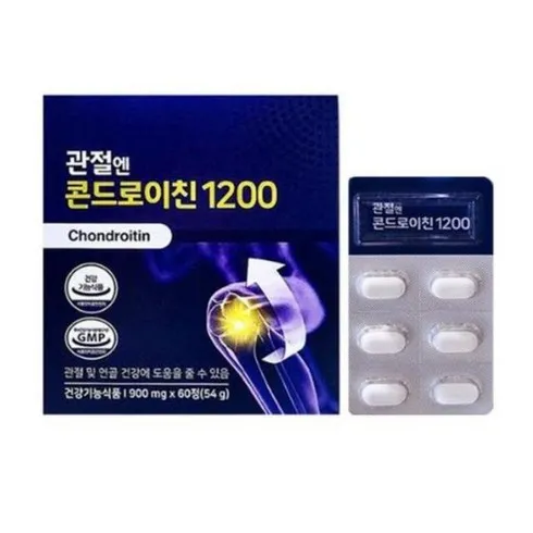 콘드로이친1200